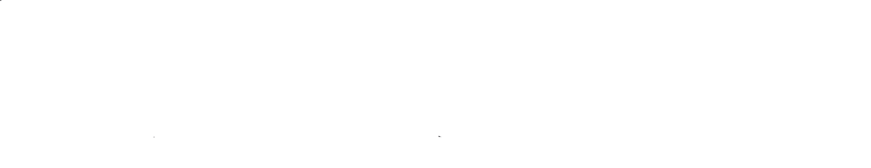 FL3XX logo